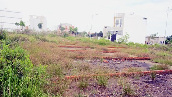 Housing land plots in Lo Lu street, District 9 (Photo: SGGP)