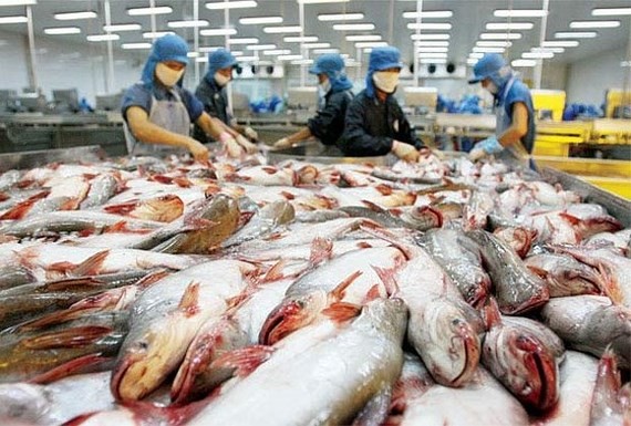 Pangasius fish export tops $1.75 billion