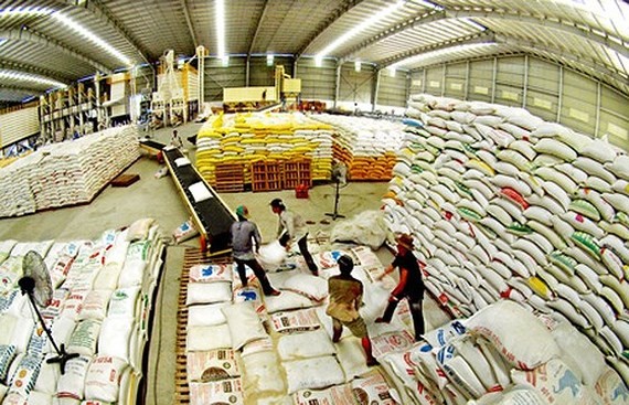 Rice bags stockpiled for export at a warehouse in the Mekong Delta (Photo: SGGP)