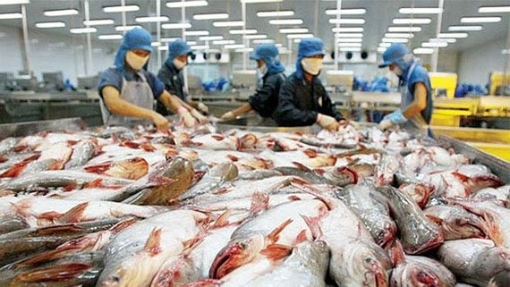 Pangasius fish price reaches ten year high in 2017