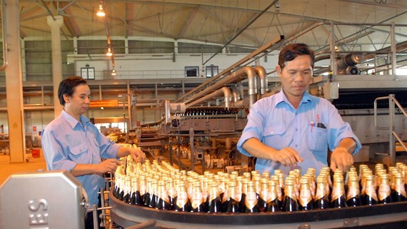 A beer production line at Sabeco (Photo: SGGP)