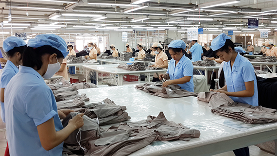 Workers making export products at Saigon 3 Garment Company (Photo: SGGP)