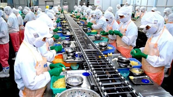 Workers processing export seafood at Hiep Phuoc industrial park, HCMC (Illustrative photo: SGGP)