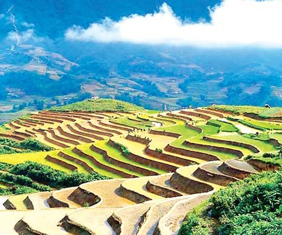 Vietnam will build Van Don, Phan Thiet and Sa Pa airports by 2020. The photo shows terraced fields in Sa Pa district, Lao Cai province, the northwestern region of Vietnam