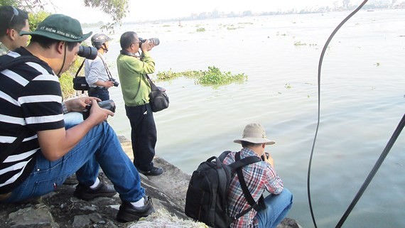 Researchers and reporters survey pollution in the Dong Nai River (Photo: SGGP)