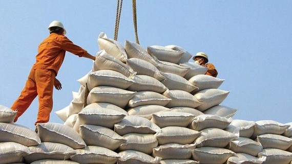 Workers pile up rice bags