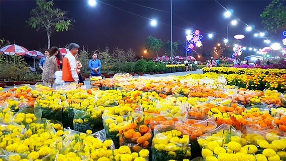 The spring flower market in Binh Dien wholesale market, Binh Chanh district, HCMC in the last lunar New Year 