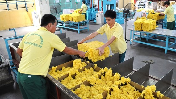 Rubber is one of the major export items of Vietnam to China (Photo: SGGP)