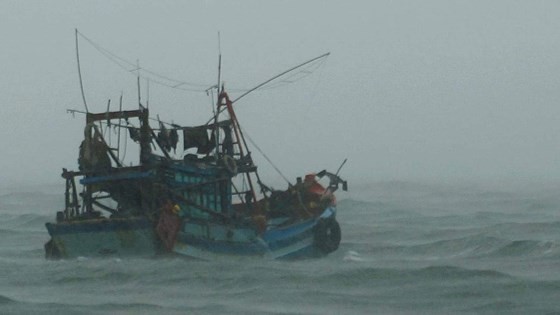 A fishing boat moving to shelter in Ca Mau province (Photo: SGGP)