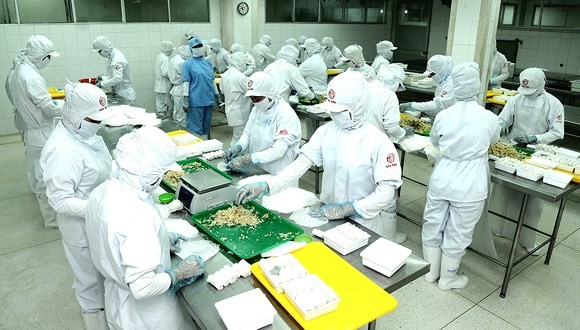 Processed food production at CJ Cau Tre Company. (Photo: SGGP)