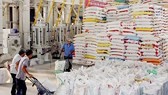 Paddy, rice prices remain stable