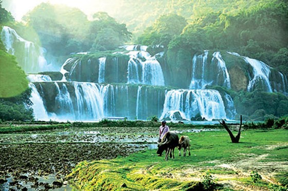 Ban Gioc waterfall in Cao Bang (Source: SGGP)