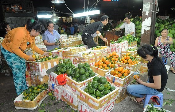 Domestically-grown fruits are sold at a market. (Photo: SGGP)