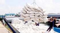 Ministry seeks ways to resolve difficulties in export