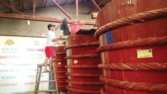 Traditional fish sauce production in Phu Quoc Island. (Photo: SGGP)