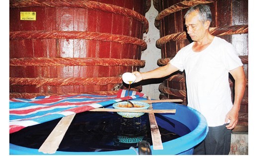 A traditional fish sauce maker checks the quality of fish sauce. (Photo: SGGP)
