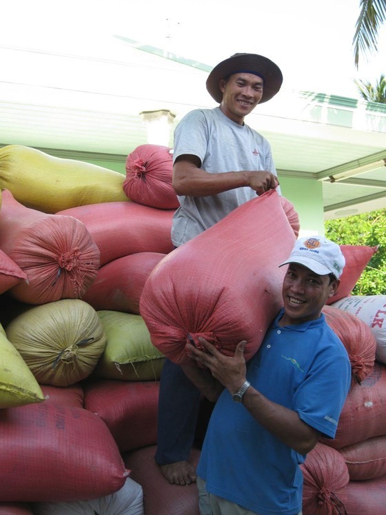 The prices of paddy go up in Mekong Delta provinces. (Photo: SGGP)