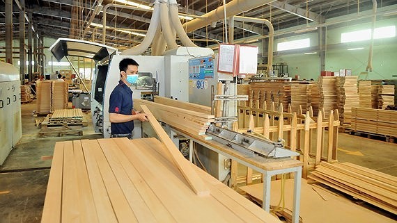 Wood and forest product export is set to achieve $11 billion this year. (Photo: SGGP)