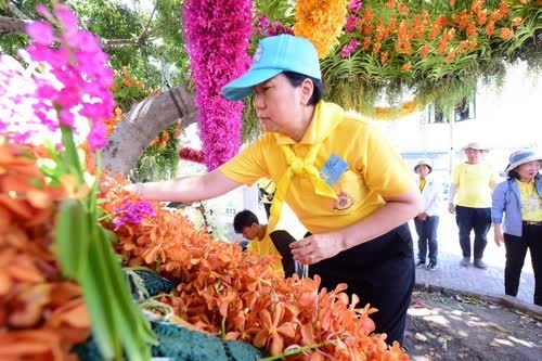 A volunteer is decorating an area along the procession route of His Majesty King Maha Vajiralongkorn’s coronation (Photo: thainews.prd.go.th)
