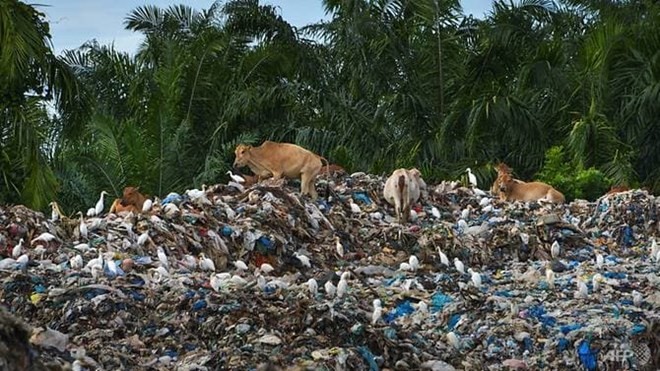 Garbage sorting centre in Bali (Source: AFP)