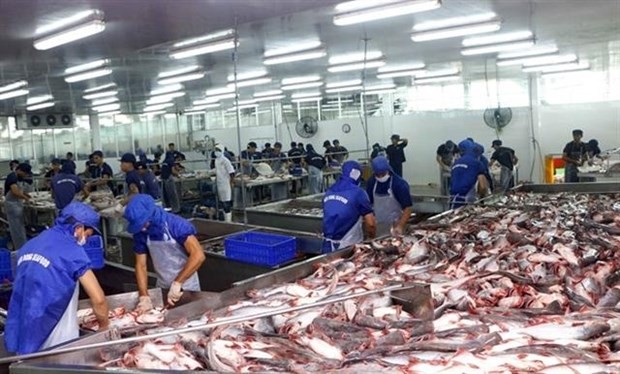Tra fish is processed for export at Bien Dong Seafood Co Ltd in Tra Noc II Industrial Zone in the southern city of Can Tho.(Photo: VNA)