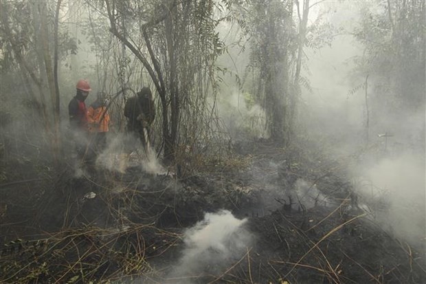 Smoke from a forest fire in Riau, Indonesia (Photo: Xinhua/VNA)