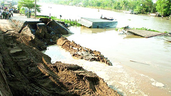 Riverside landslide has been expanding in the Mekong Delta (Photo: SGGP)