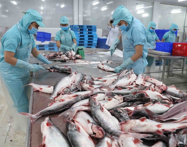 Workers preparing fish for further processing at a plant belonging to Sao Mai Group in the southern province of Dong Thap (Photo: VNA/VNS)