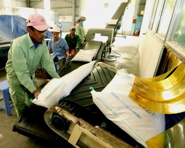 The Ministry of Industry and Trade has granted 47 certificates of eligibility to rice export businesses over the past year. (Illustrative image. Source: VNA)