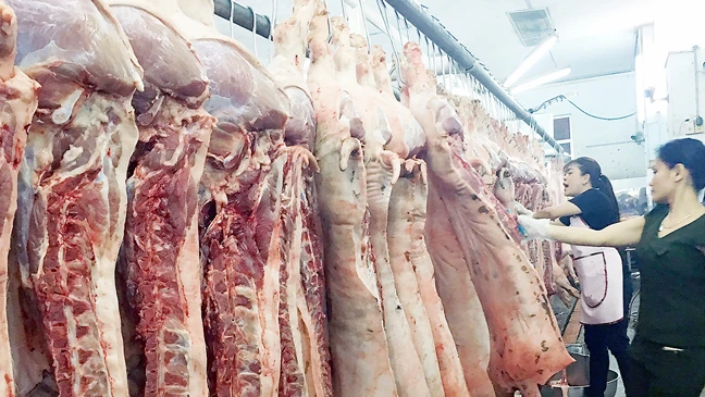 Thịt heo mảnh được thương lái phân phối về chợ đầu mối TPHCM