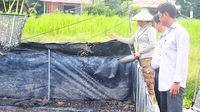 Lãnh đạo Hội Nông dân xã Hưng Thuận đến tham quan trang trại ếch của gia đình chị Lập