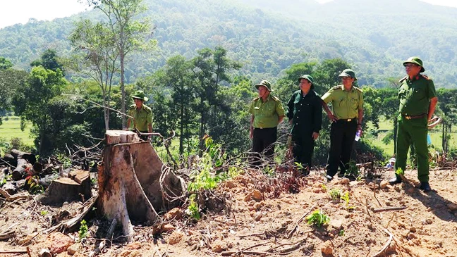 Đánh giá của cơ quan chức năng đây là vụ phá rừng đặc biệt nghiêm trọng