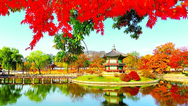 Mùa thu trong vườn thượng uyển Gyeongbokgung