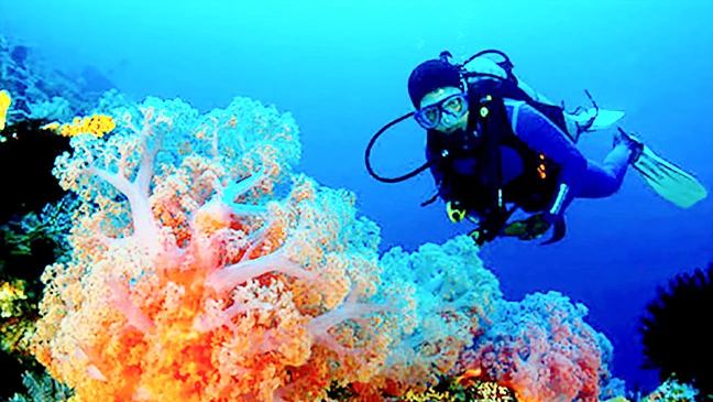 Indonesia là nơi lặn tuyệt vời nhất thế giới