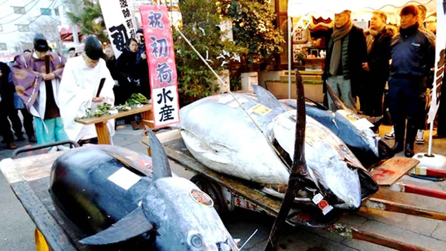 Cá ngừ vây xanh giá 36,5 triệu yên