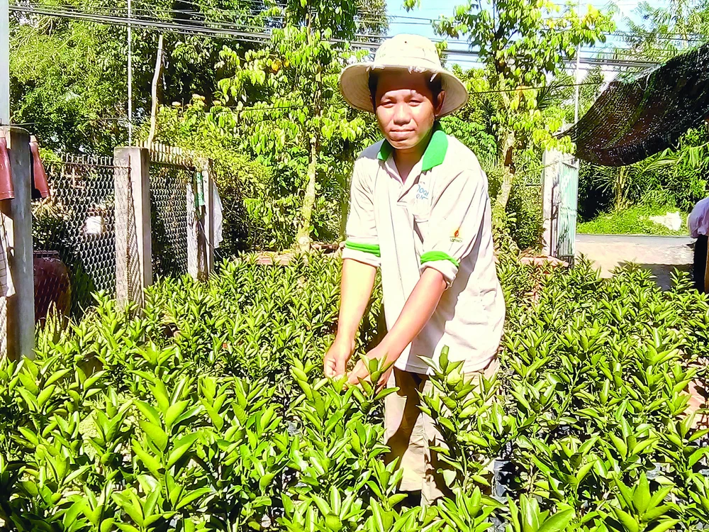 Anh Nguyễn Ngọc Thuận ở xã Hòa Long, huyện Lai Vung (Đồng Tháp) mua được đất vườn, mở cửa hàng vật tư nông nghiệp từ tiền xuất khẩu lao động