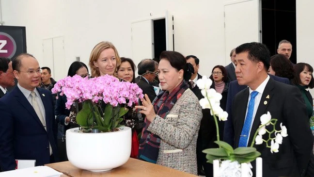 Chủ tịch Quốc hội Nguyễn Thị Kim Ngân thăm Trung tâm nông nghiệp công nghệ cao tại Westland. Ảnh: TTXVN