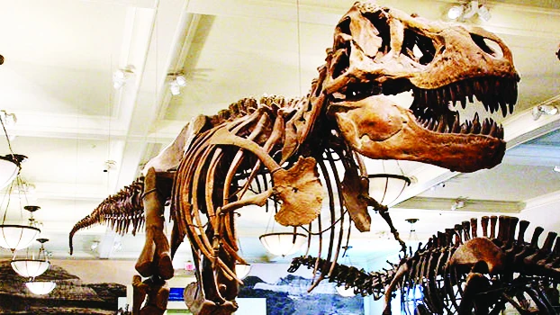 Ðấu giá hóa thạch khủng long