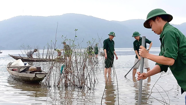 Người dân và bộ đội biên phòng Thừa Thiên- Huế trồng ngập mặn nơi bờ biển sạt lở