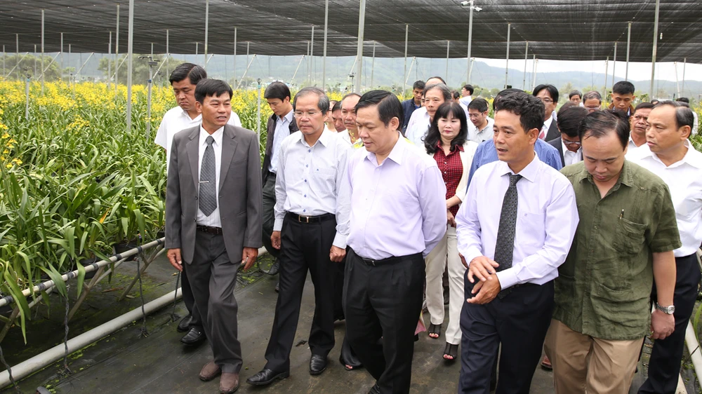 Phó Thủ tướng Vương Đình Huệ thăm vườn ươm hoa lan tại Lâm Đồng. Ảnh: VGP