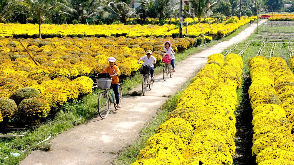 Sản xuất hoa kiểng - thế mạnh đặc thù của huyện Chợ Lánh, Bến Tre