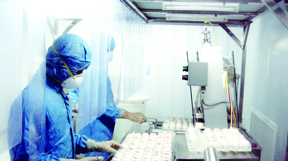 Chọn lọc trứng gà đạt chuẩn để sản xuất vaccine