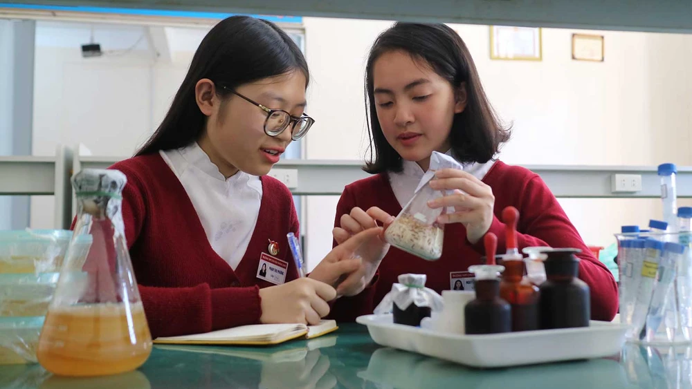 Phạm Thu Phương và Nguyễn An Cát Uyên thực hiện đề tài nghiên cứu trồng nấm từ phế thải hoa cúc và mùn cưa
