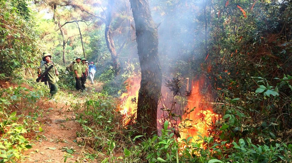 Lực lượng chữa cháy rừng bằng dụng cụ thô sơ
