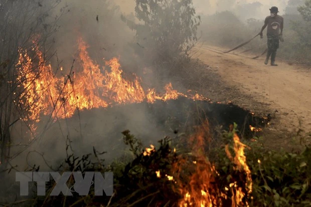 Binh sĩ Indonesia tham gia dập các đám cháy từng tại Ogan Ilir, tỉnh Nam Sumatra. Nguồn: Reuters/TTXVN