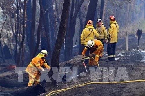 Lực lượng cứu hỏa nỗ lực dập lửa cháy rừng tại Dargan, Australia. Ảnh: AFP/ TTXVN