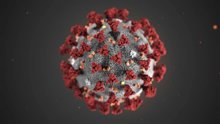 Ảnh minh hoạ chủng virus corona mới (2019-nCoV). Nguồn: AP