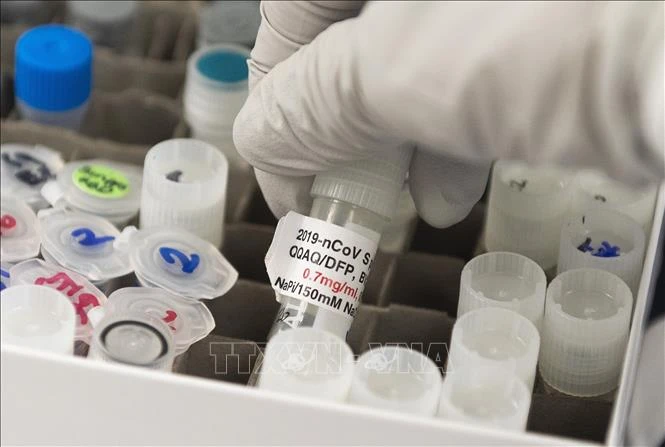 Nghiên cứu phát triển vaccine phòng COVID-19 tại phòng thí nghiệm của Novavax ở Rockville, Maryland (Mỹ). Ảnh: AFP/TTXVN
