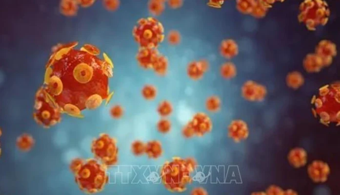 Hình ảnh mô phỏng virus gây bệnh viêm gan. 