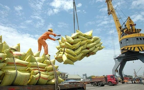 Kim ngạch xuất khẩu gạo đang tăng cao